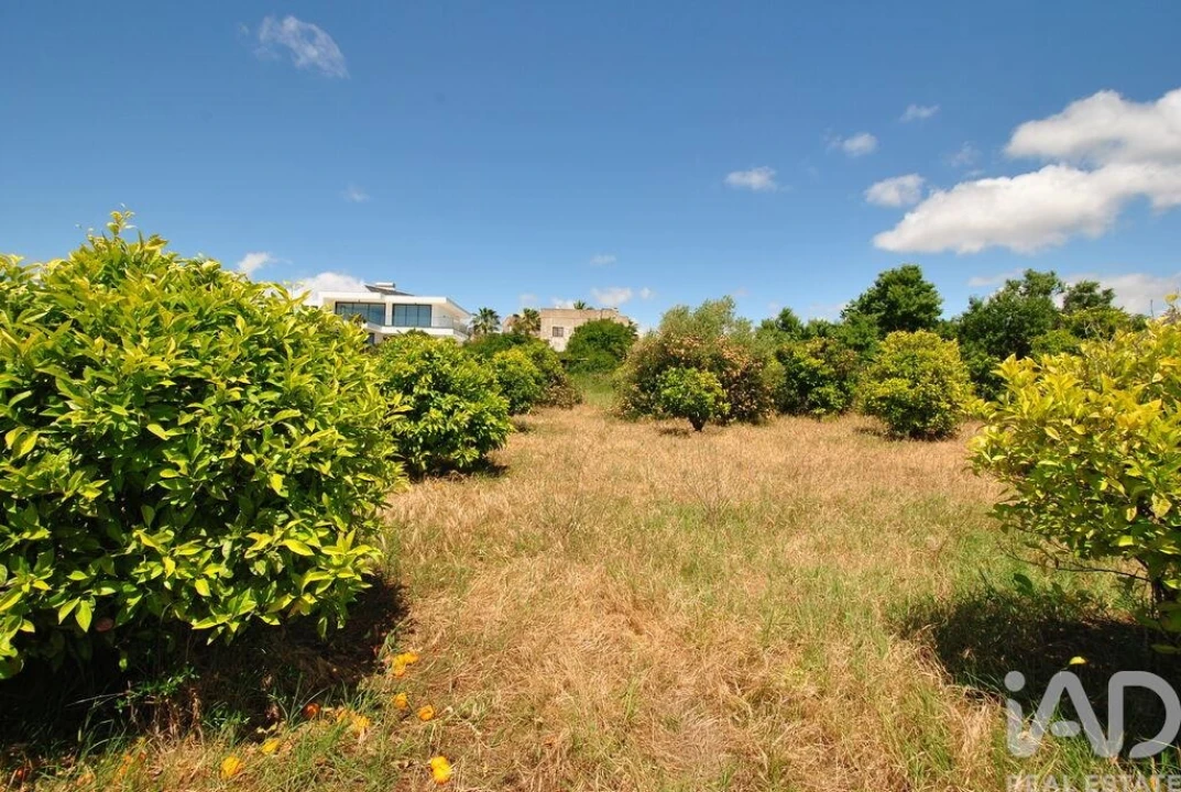 Terreno para Venda em Albufeira e Olhos de Água Foto 25