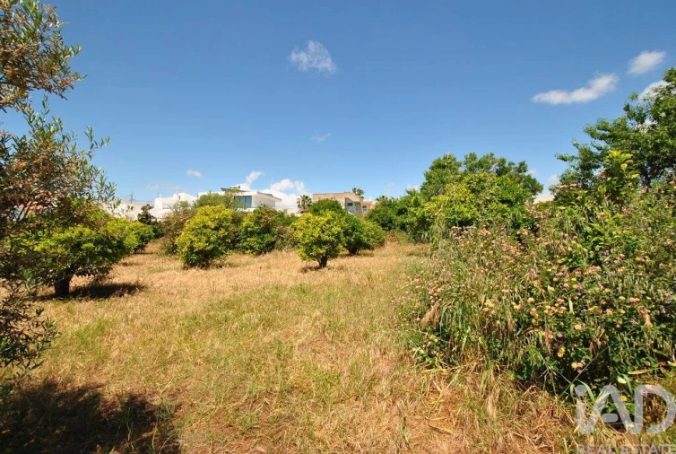 Terreno para Venda em Albufeira e Olhos de Água Foto 6