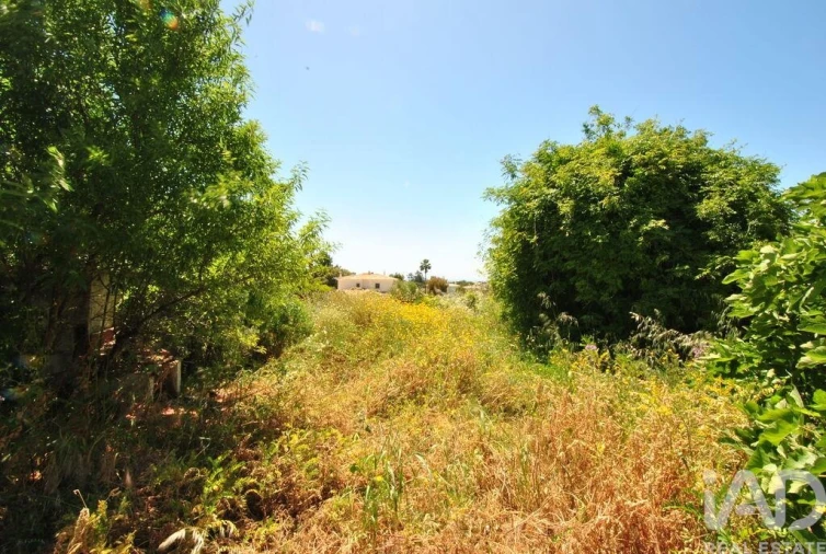 Terreno para Venda em Albufeira e Olhos de Água Foto 13