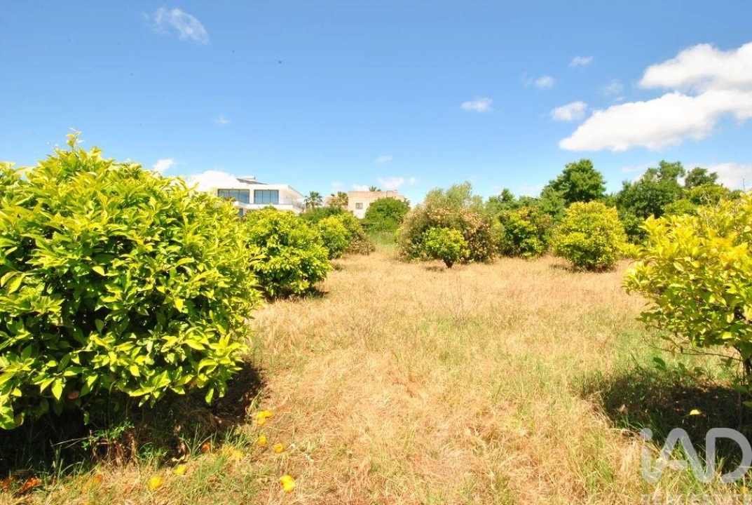 Terreno para Venda em Albufeira e Olhos de Água Foto 24
