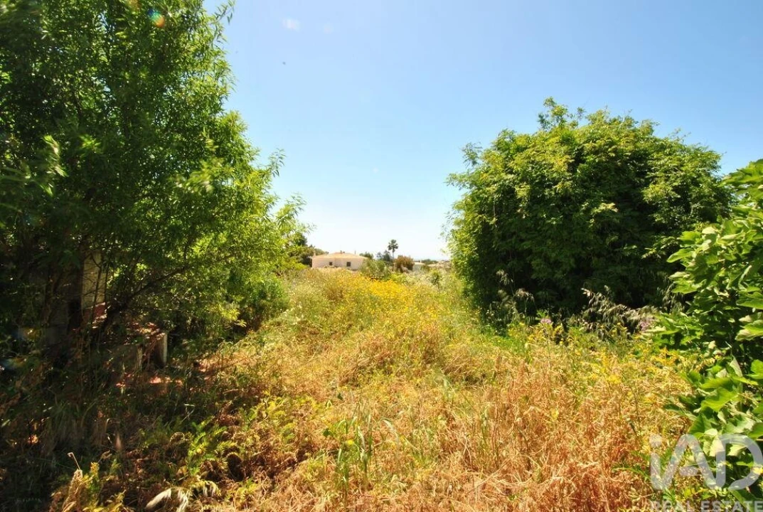 Terreno para Venda em Albufeira e Olhos de Água Foto 13