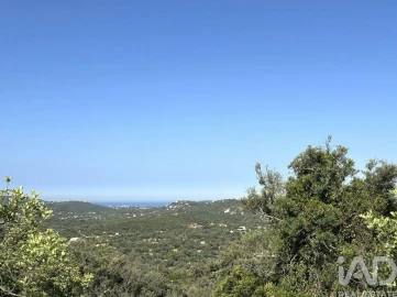 Terreno para Venda em Santa Barbara de Nexe