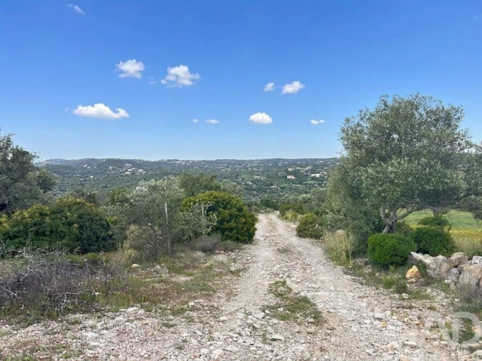 Terreno para Venda em Santa Barbara de Nexe Foto 15