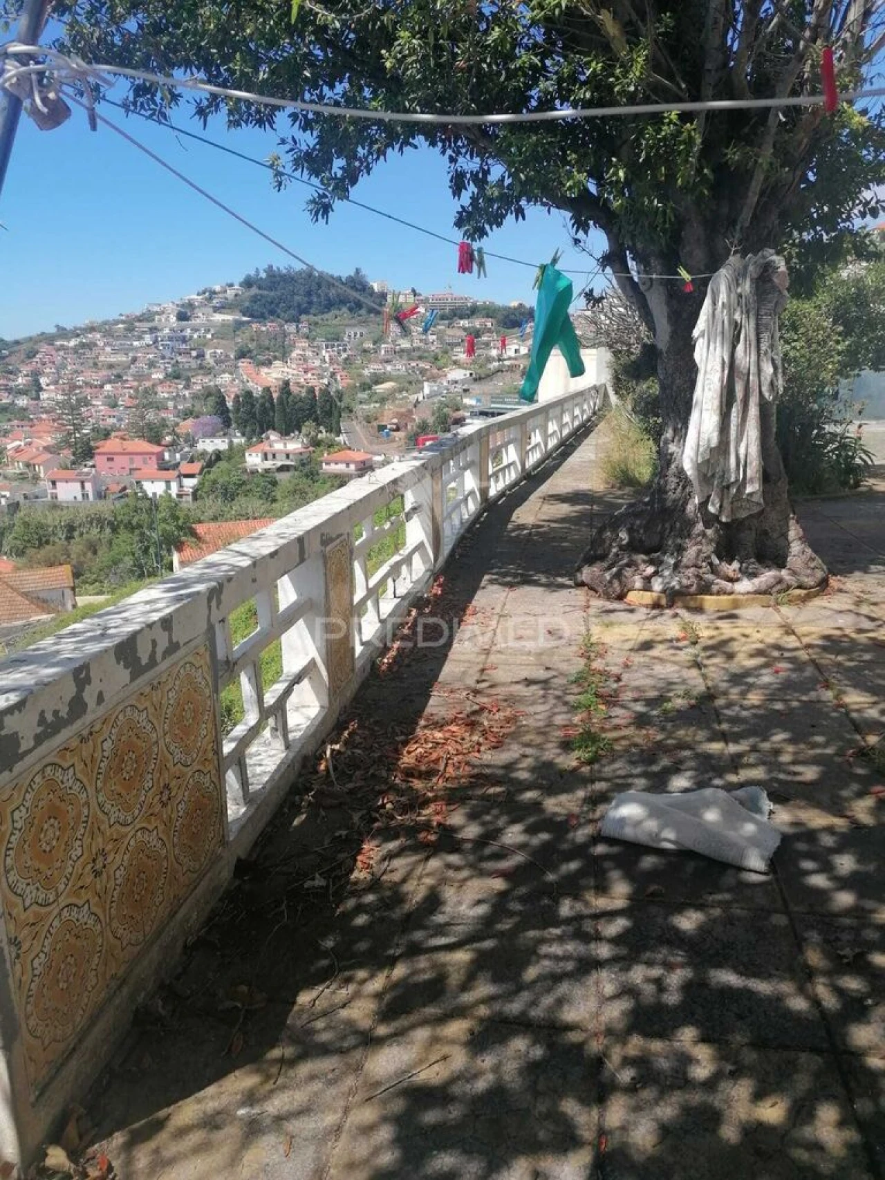 Quinta T9 para Venda em Santo Antonio Foto 9