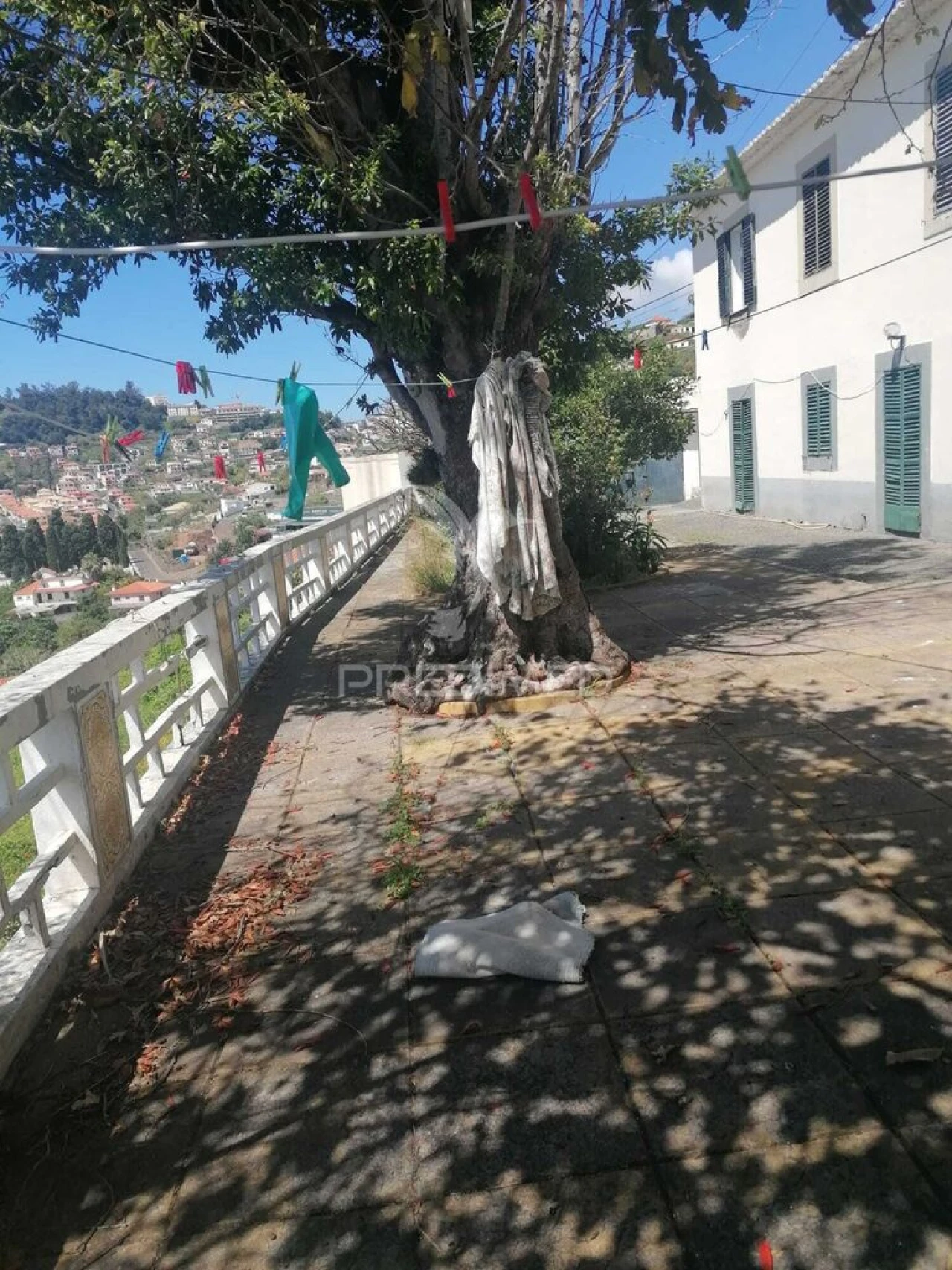 Quinta T9 para Venda em Santo Antonio Foto 7