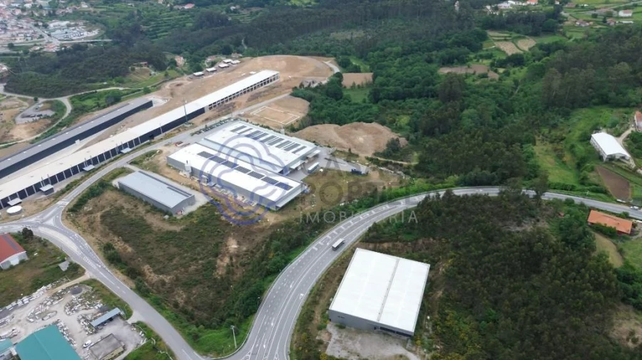 Terreno para Venda em Vouzela e Paços de Vilharigues Foto 6