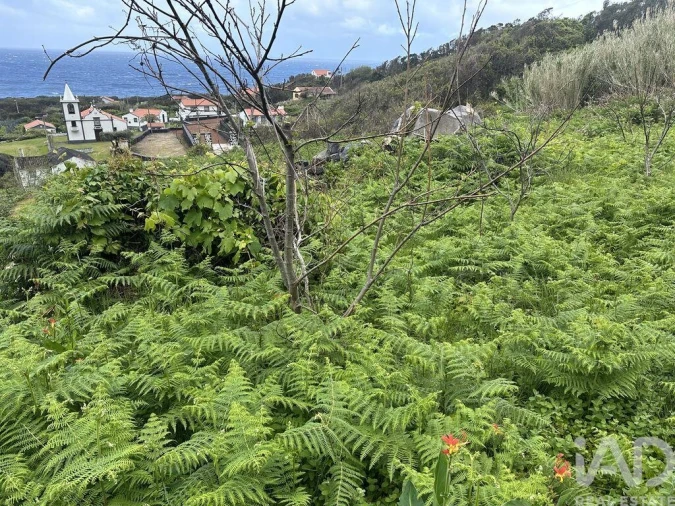 Prédio para Venda em Norte Grande (Neves) Foto 6