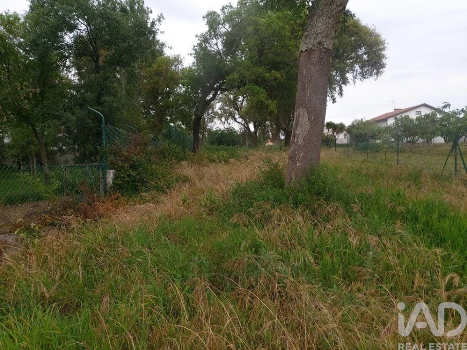 Terreno para Venda em Pedreiras Foto 8
