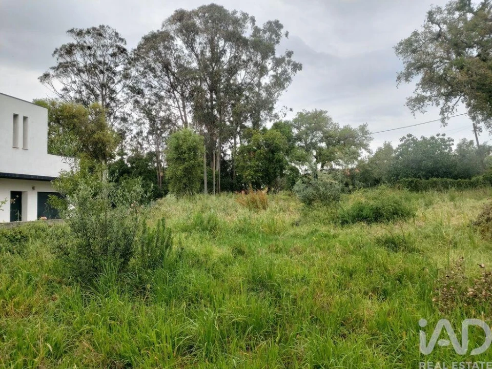 Terreno para Venda em Pedreiras Foto 15