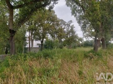 Terreno para Venda em Pedreiras
