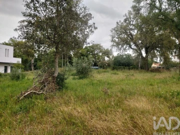 Terreno para Venda em Pedreiras