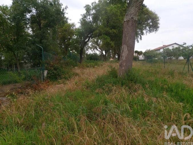 Terreno para Venda em Pedreiras Foto 8