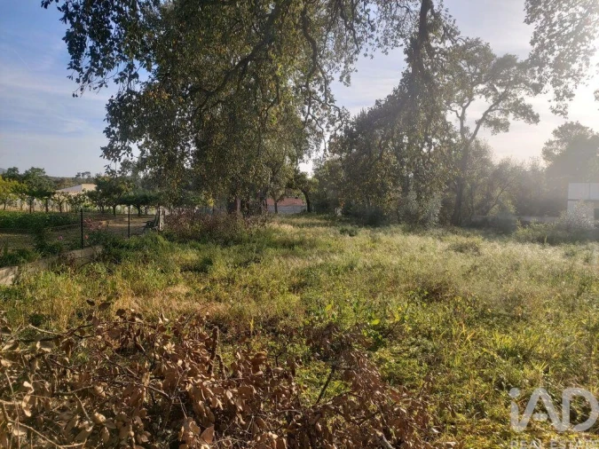 Terreno para Venda em Pedreiras Foto 2