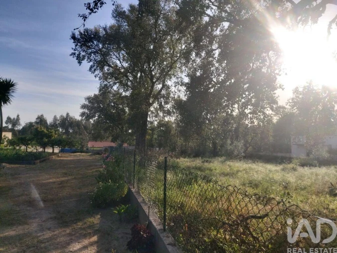 Terreno para Venda em Pedreiras Foto 3
