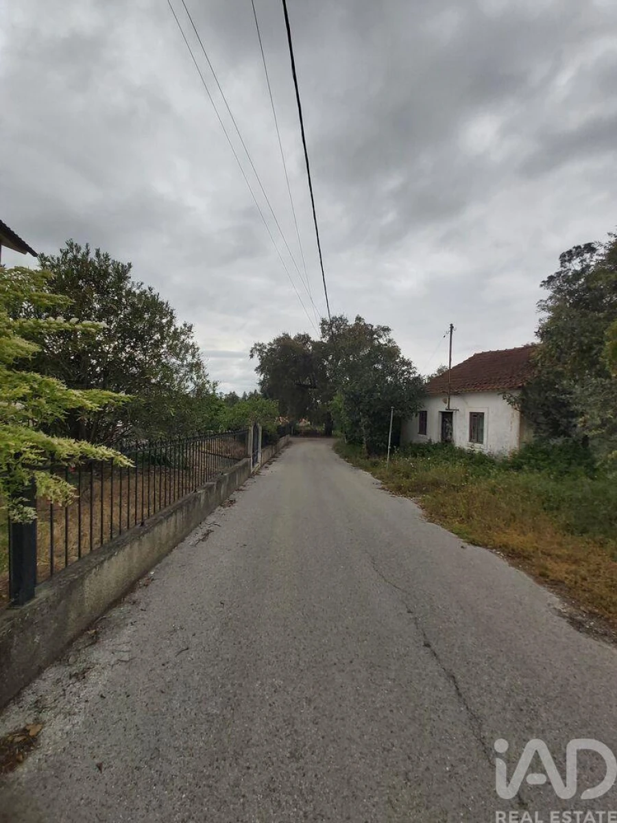 Terreno para Venda em Pedreiras Foto 6