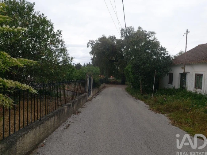 Terreno para Venda em Pedreiras Foto 5