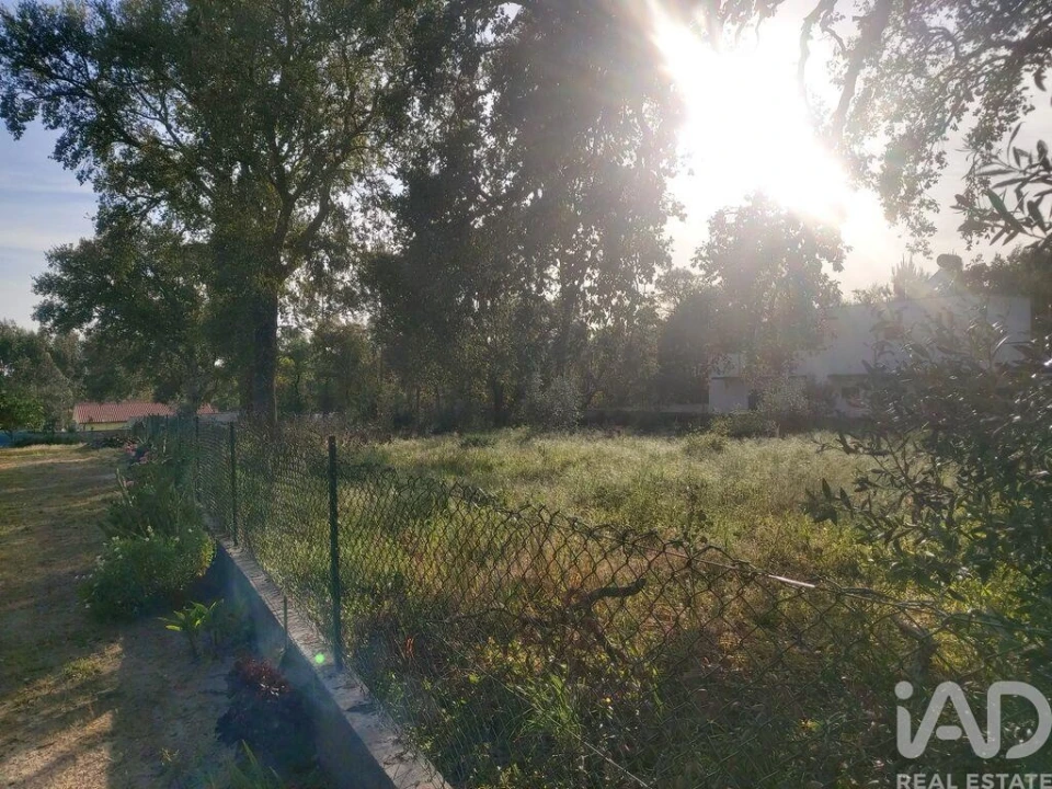 Terreno para Venda em Pedreiras Foto 4