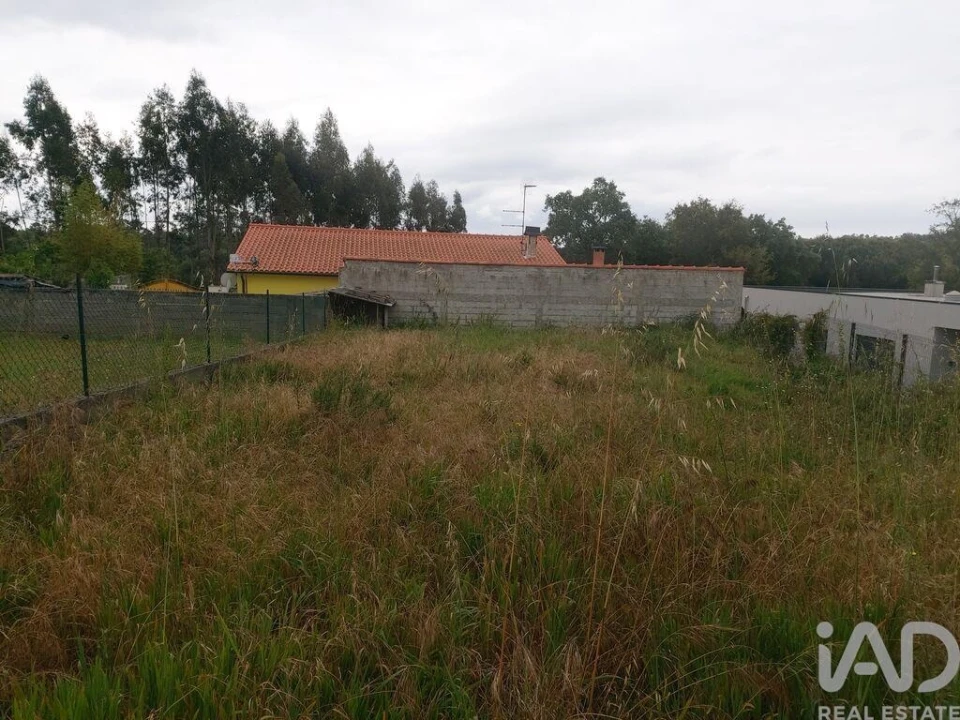 Terreno para Venda em Pedreiras Foto 7