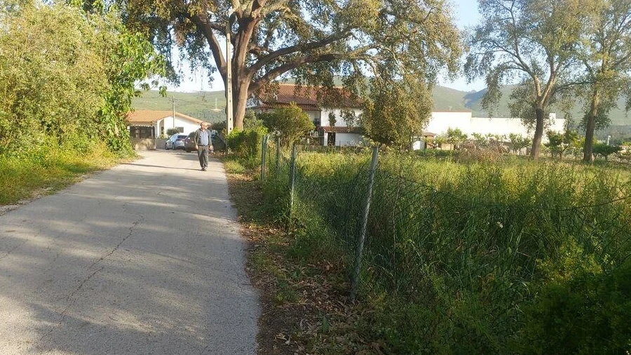 Terreno para Venda em Pedreiras