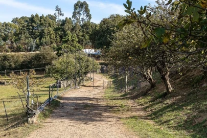 Quinta T5 para Venda em Pedroso e Seixezelo