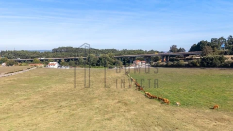 Quinta T5 para Venda em Pedroso e Seixezelo