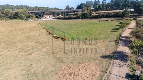 Quinta T5 para Venda em Pedroso e Seixezelo