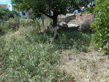 Apartamento T2 para Venda em Montoito