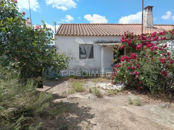 Apartamento T2 para Venda em Montoito