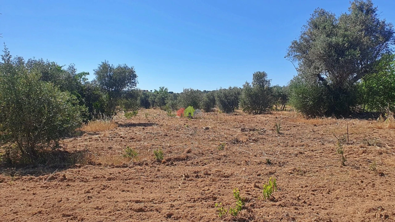 Terreno para Venda em Vila Alva Foto 21