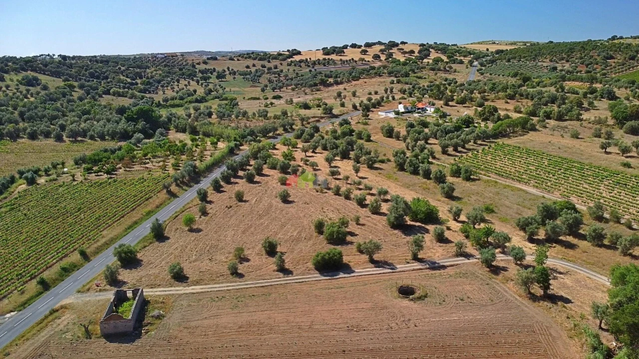 Terreno para Venda em Vila Alva Foto 6