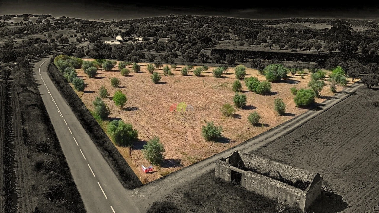 Terreno para Venda em Vila Alva Foto 3