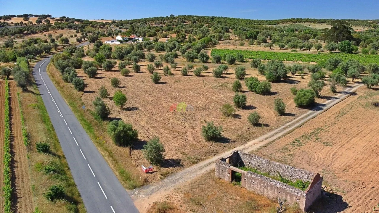 Terreno para Venda em Vila Alva Foto 2