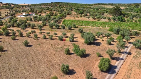 Terreno para Venda em Vila Alva