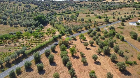 Terreno para Venda em Vila Alva