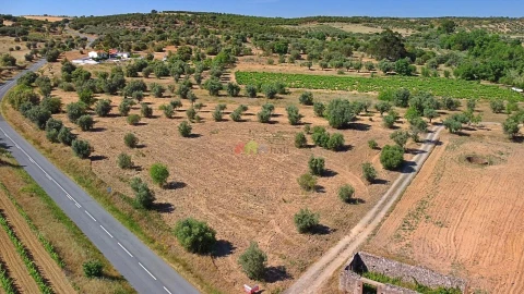 Terreno para Venda em Vila Alva