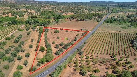 Terreno para Venda em Vila Alva