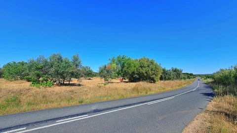 Terreno para Venda em Vila Alva