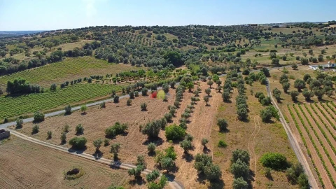 Terreno para Venda em Vila Alva