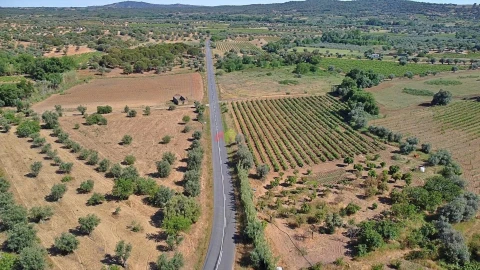 Terreno para Venda em Vila Alva