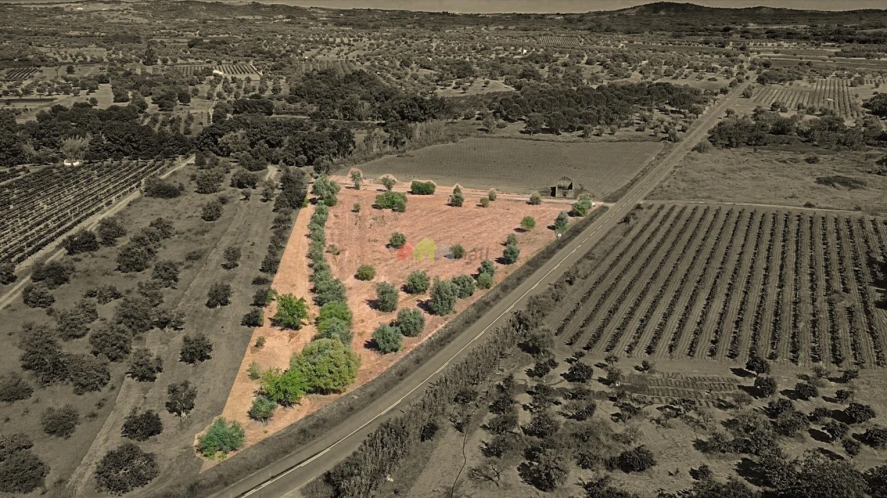 Terreno para Venda em Vila Alva Foto 15