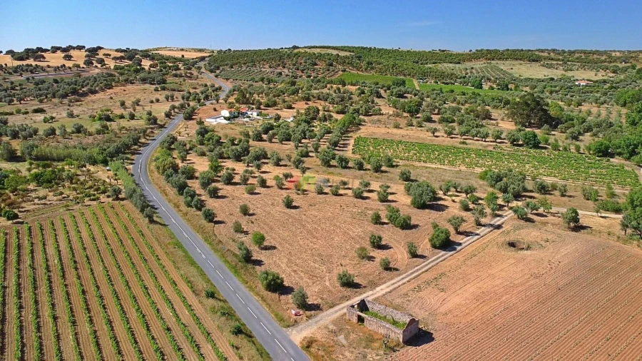Terreno para Venda em Vila Alva Foto 5