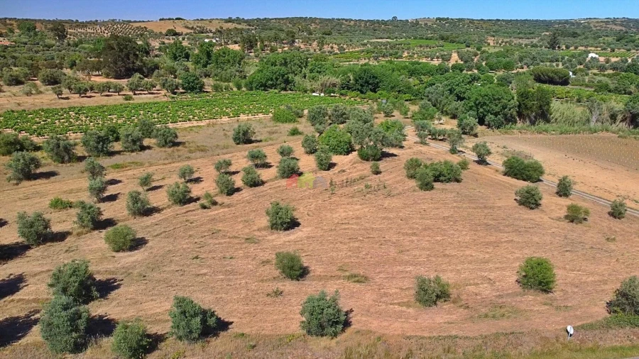 Terreno para Venda em Vila Alva Foto 16