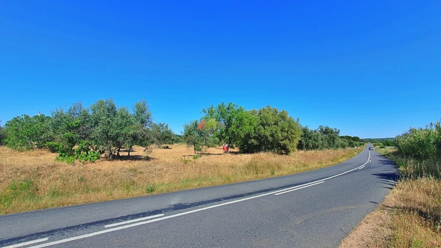 Terreno para Venda em Vila Alva Foto 22