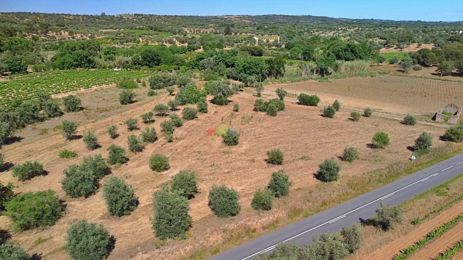 Terreno para Venda em Vila Alva Foto 17