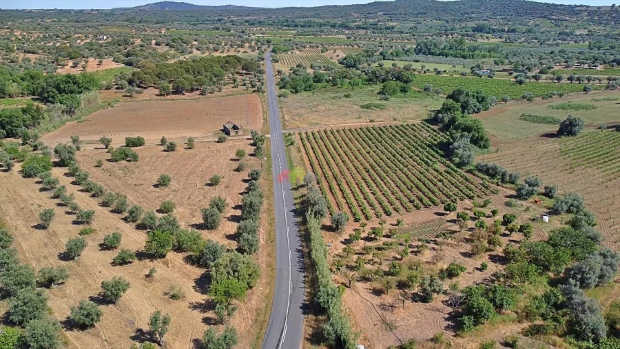 Terreno para Venda em Vila Alva Foto 8