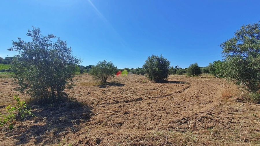 Terreno para Venda em Vila Alva Foto 20
