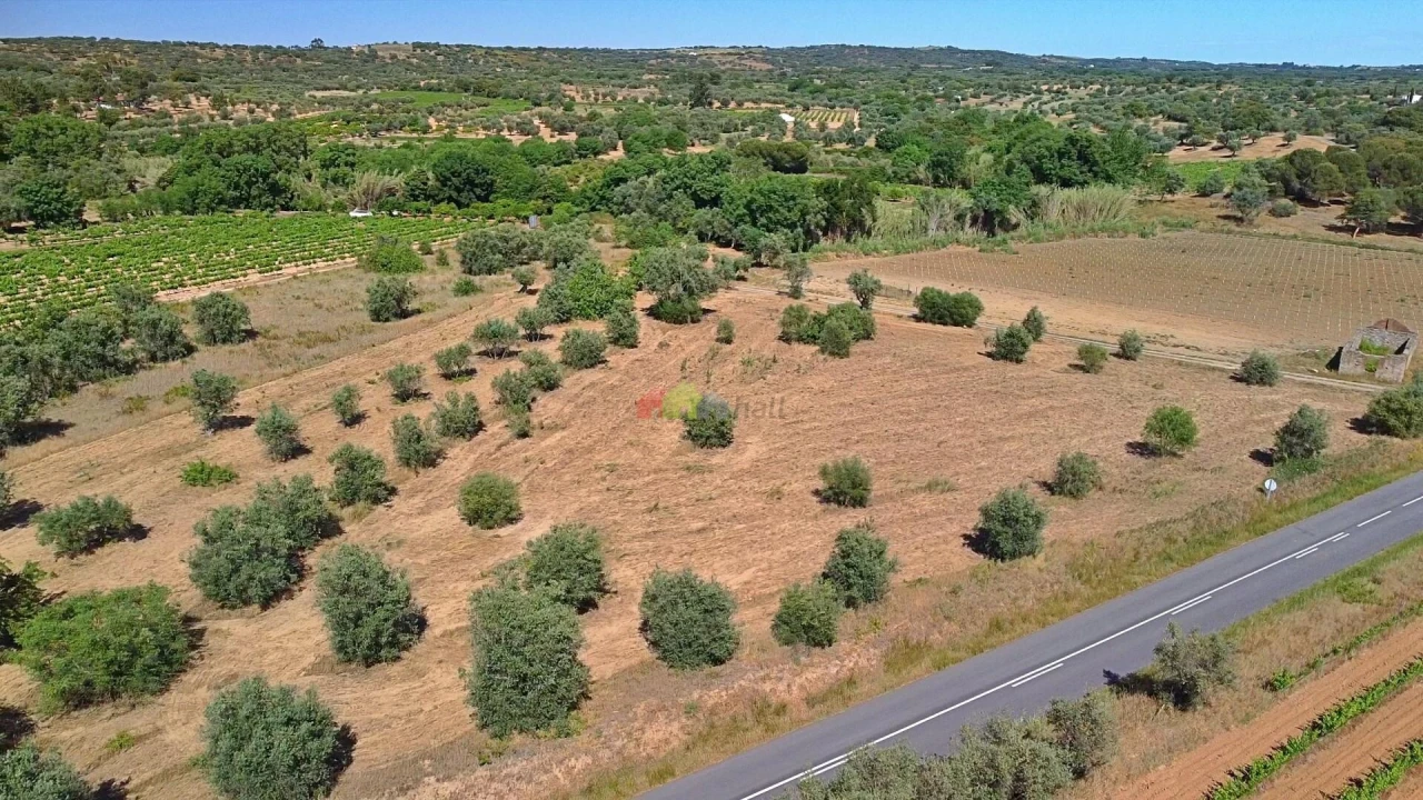 Terreno para Venda em Vila Alva Foto 17