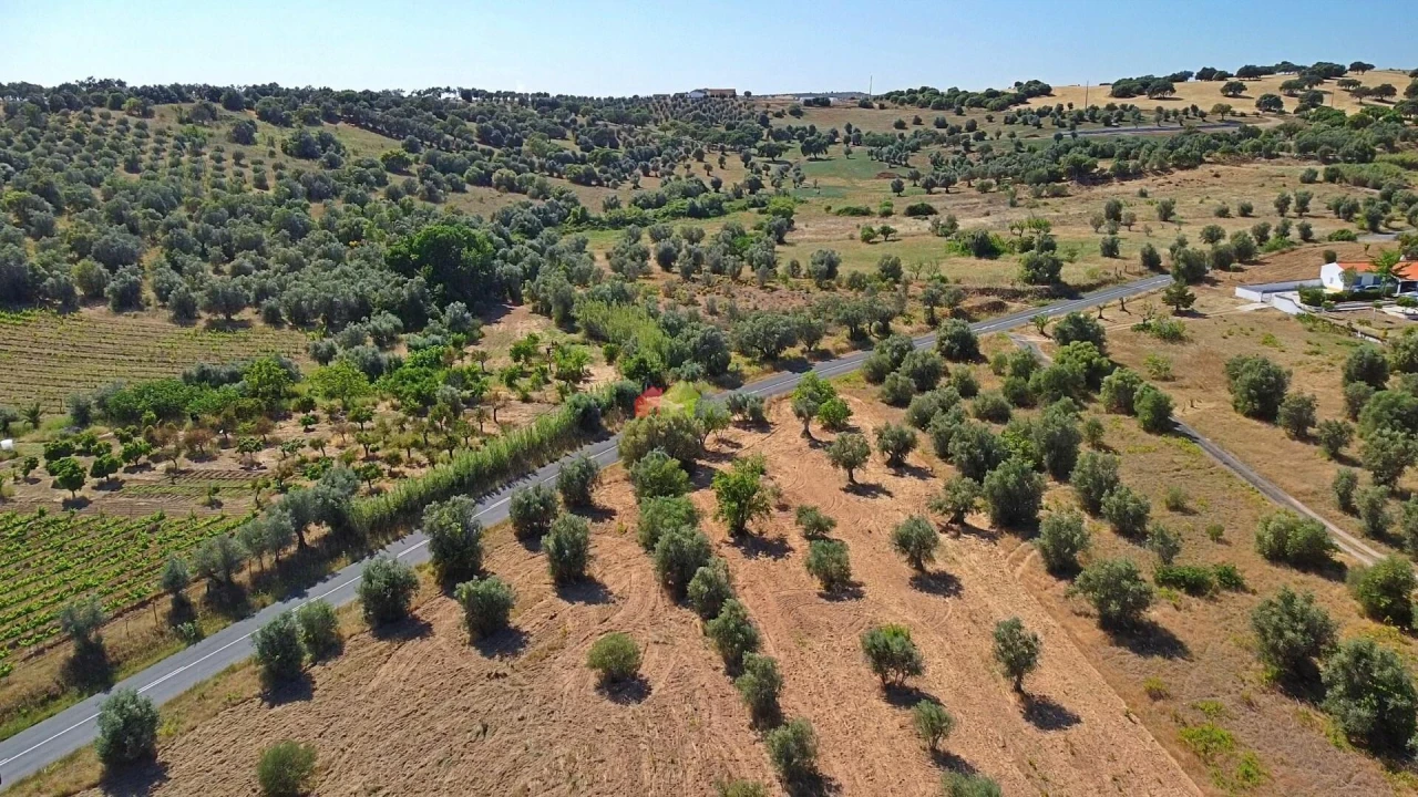 Terreno para Venda em Vila Alva Foto 12