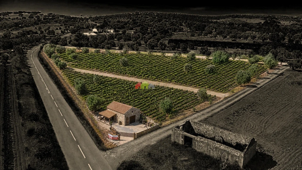 Terreno para Venda em Vila Alva Foto 1