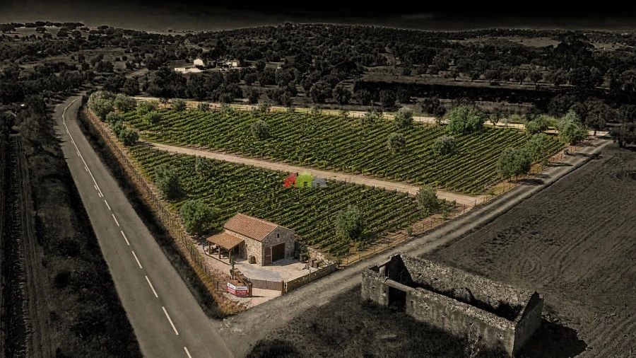 Terreno para Venda em Vila Alva